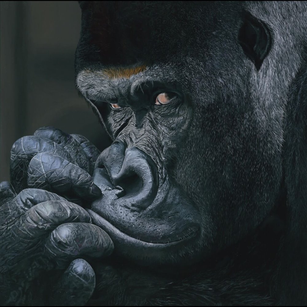 Daniel painted gorilla