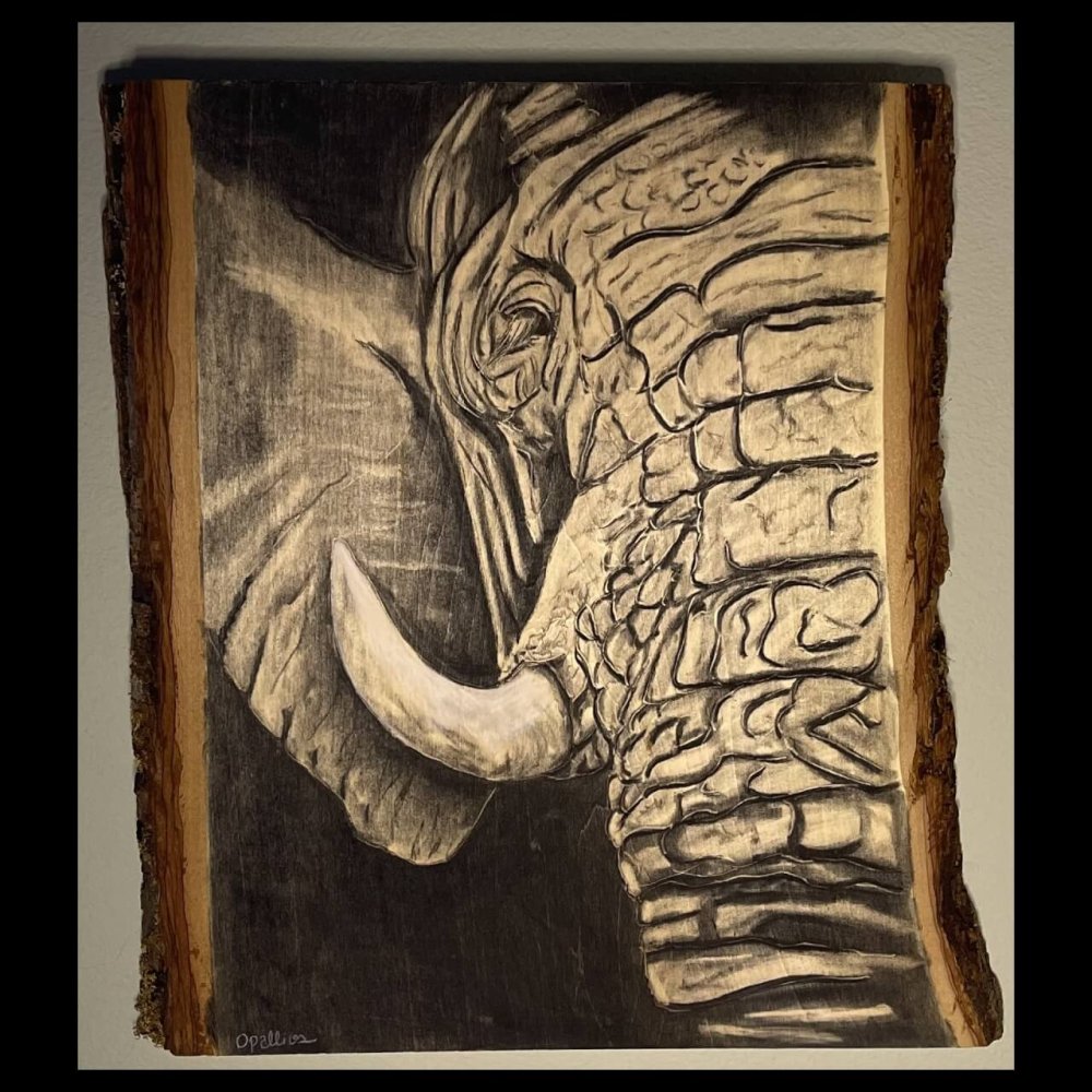 Macemore elephant face drawn into wood