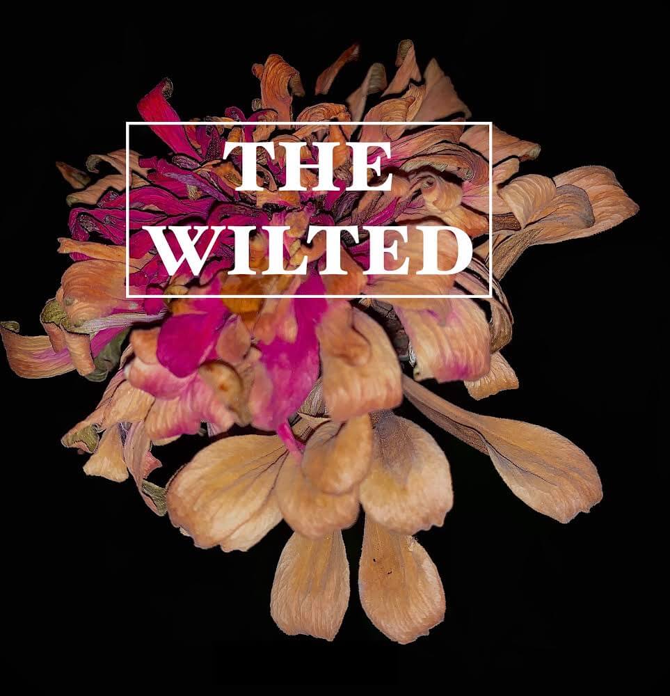 the wilted